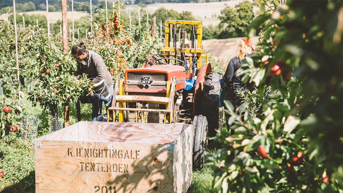 Get in touch with Nightingale Cider