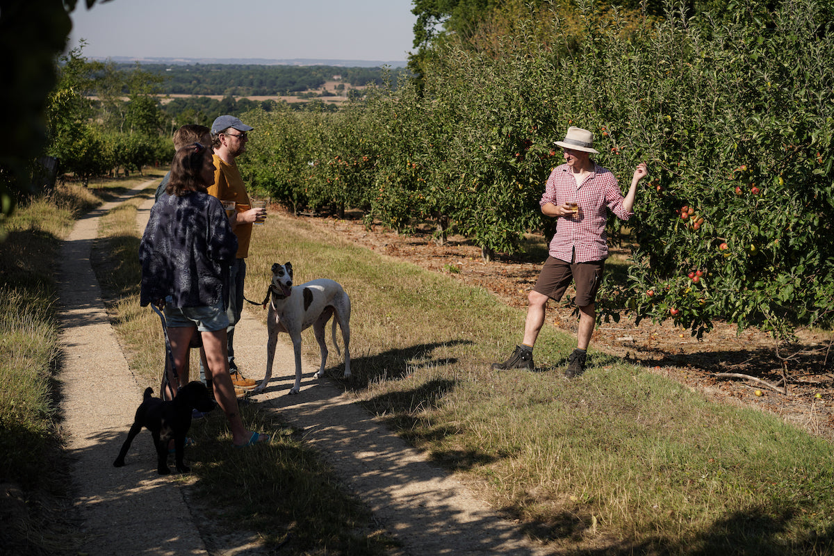 A scene of  Sam in our orchards, what you can enjoy with a cider tour and tasting gift voucher.