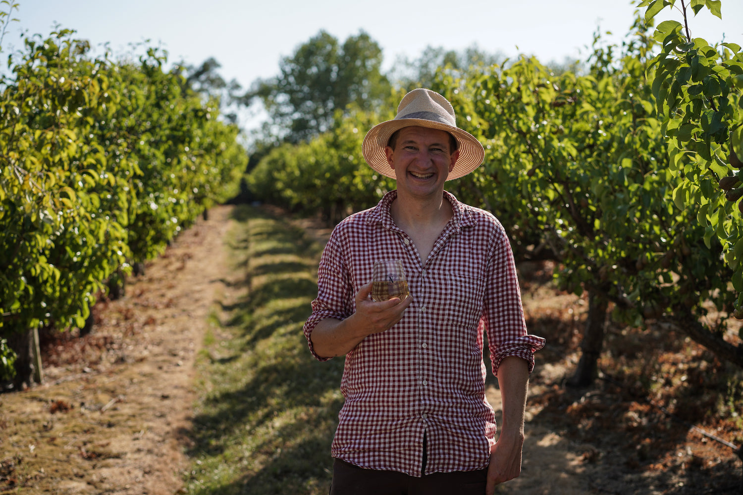 A scene of  Sam in our orchards, what you can enjoy with a cider tour and tasting gift voucher.