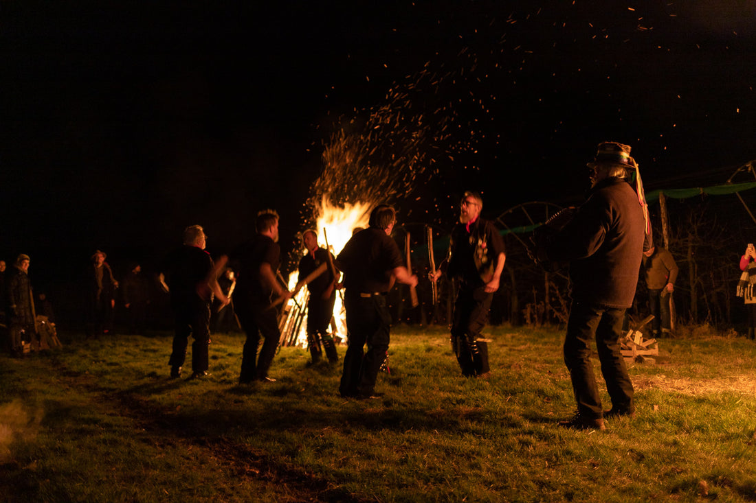 Wassailing the Orchard - Saturday 21st January