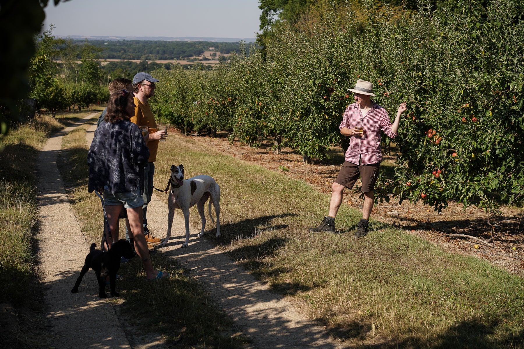 cider tour tasting