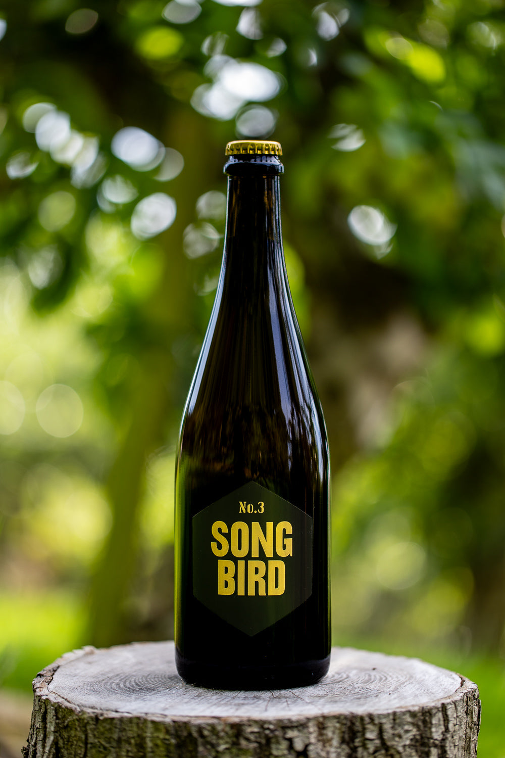 Song Bird no3 cider