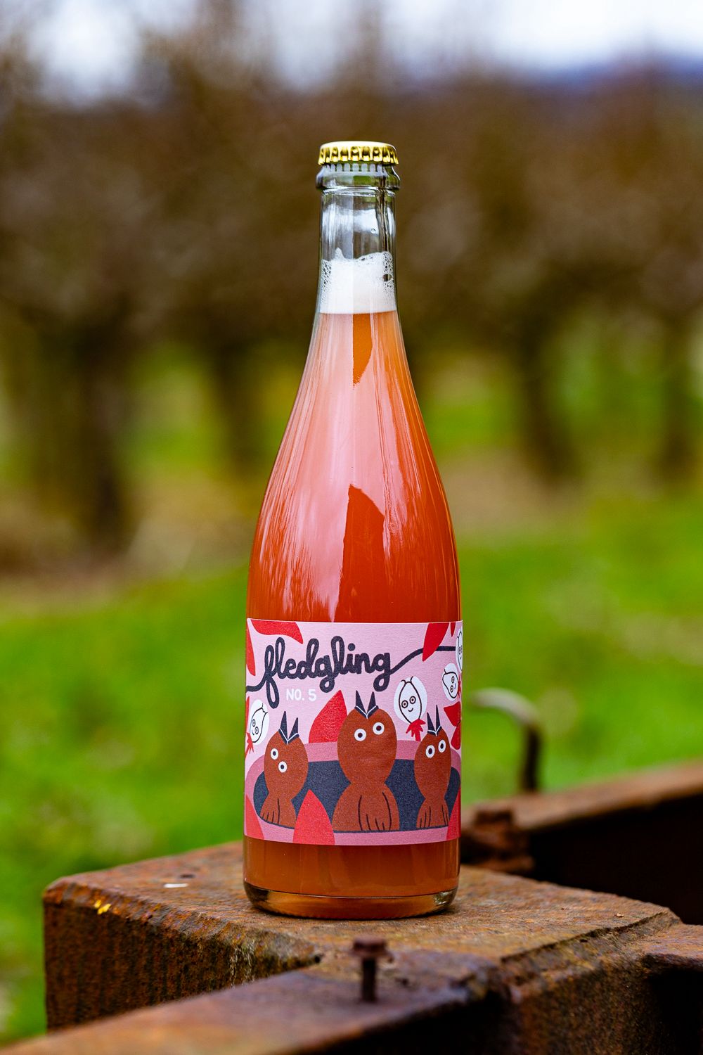 Fledgling No.5 Cider