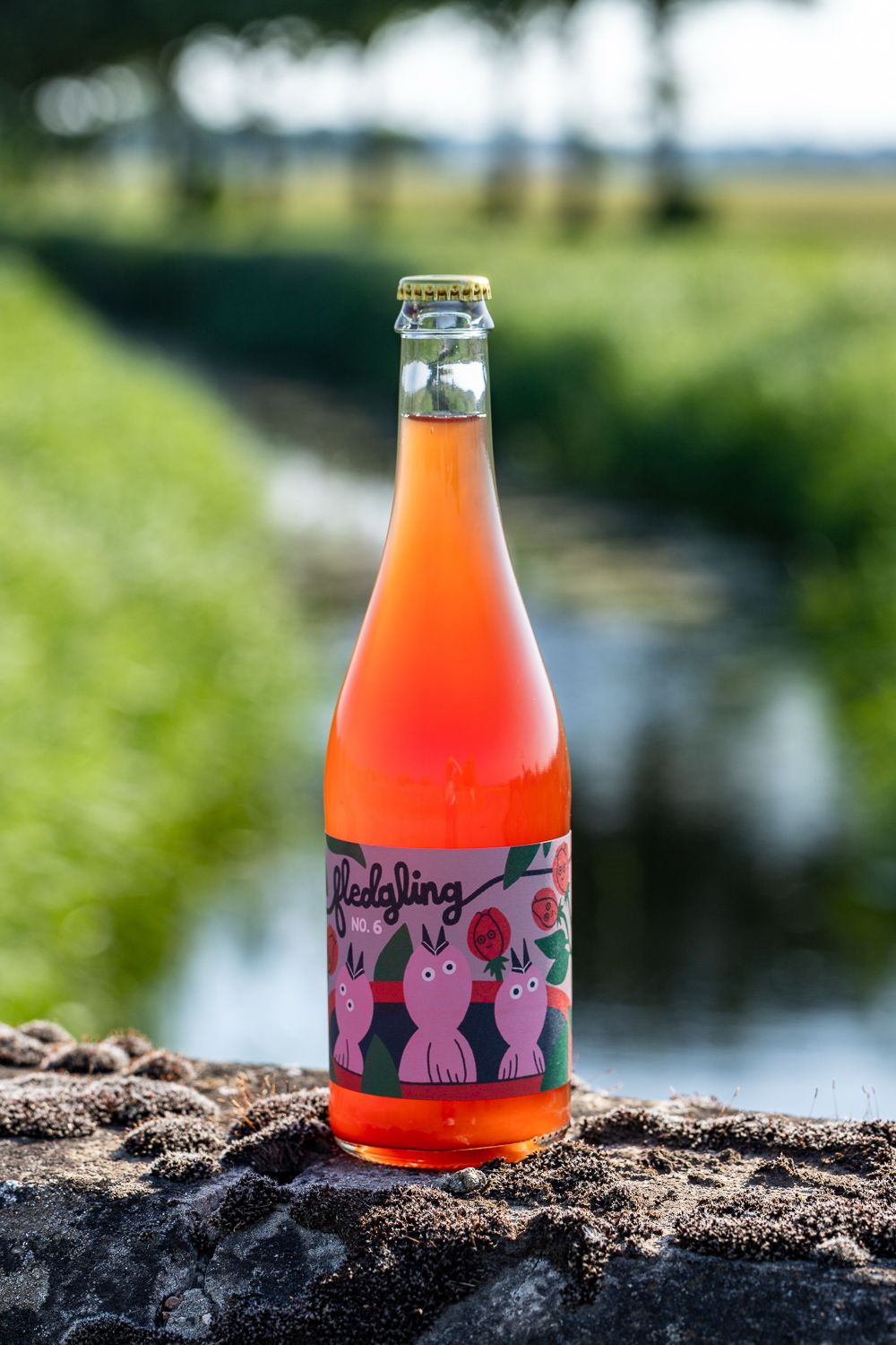 Fledgling no6 Cider