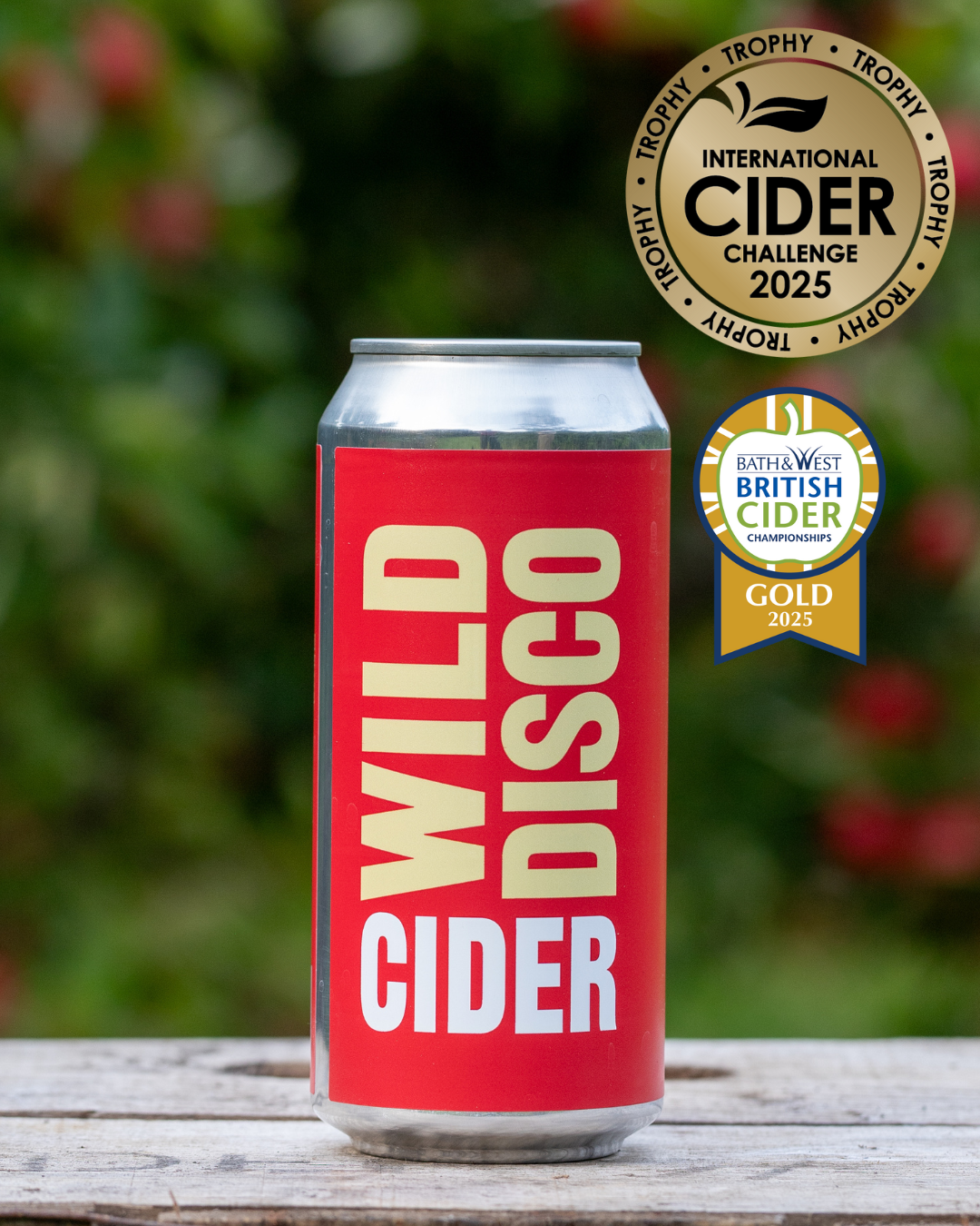 WILD DISCO CIDER